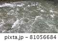 川 81056684
