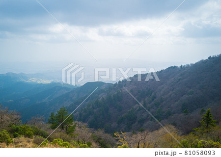 ヤビツ峠から大山登山の尾根道 81058093