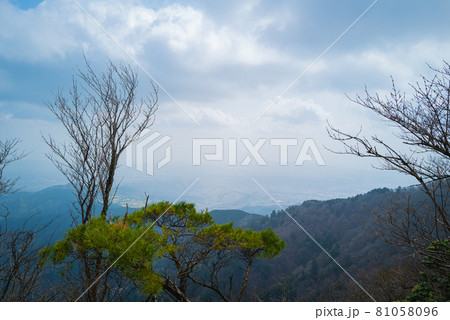 ヤビツ峠から大山登山の尾根道 ヤビツ峠から大山登山の尾根道 81058096