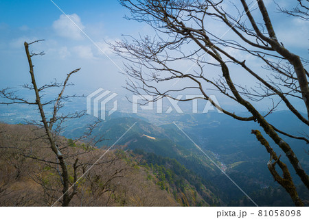 ヤビツ峠から大山登山の尾根道 ヤビツ峠から大山登山の尾根道 81058098