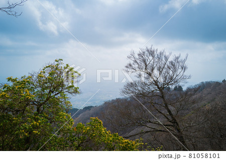 ヤビツ峠から大山登山の尾根道 ヤビツ峠から大山登山の尾根道 81058101