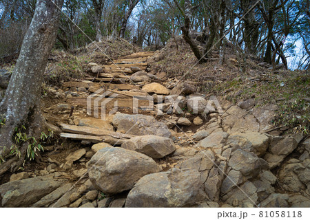 ヤビツ峠から大山登山の尾根道 81058118