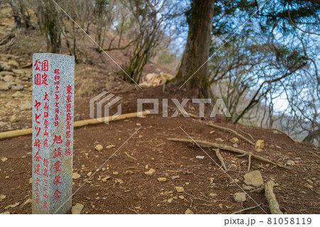 ヤビツ峠から大山登山の尾根道 ヤビツ峠から大山登山の尾根道 81058119