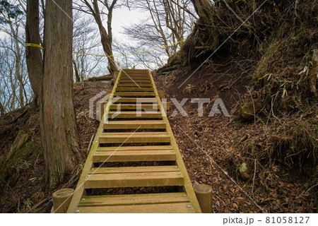 ヤビツ峠から大山登山の尾根道 81058127