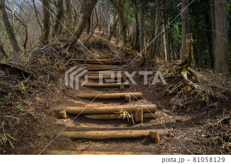 ヤビツ峠から大山登山の尾根道 81058129