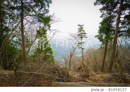 ヤビツ峠から大山登山の尾根道 81058137
