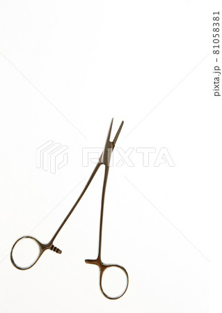 歯科器具 歯科イメージ 歯科器具 歯科イメージ 81058381