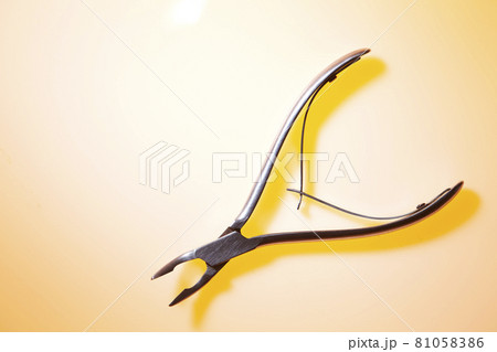 歯科器具　歯科イメージ 81058386