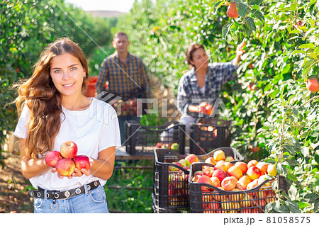 Smiling young woman standing in orchard with apples in hands Smiling young woman standing in orchard with apples in hands 81058575