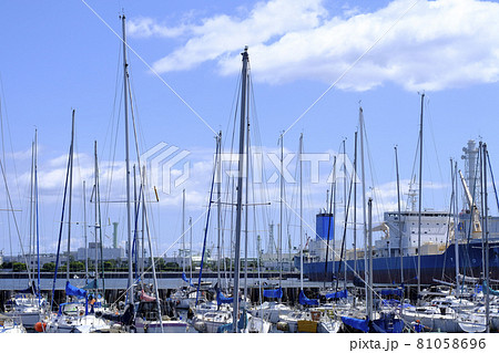 神奈川県横浜市根岸湾の風景 神奈川県横浜市根岸湾の風景 81058696