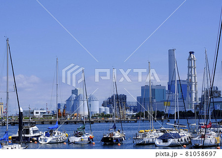 神奈川県横浜市根岸湾の風景 81058697