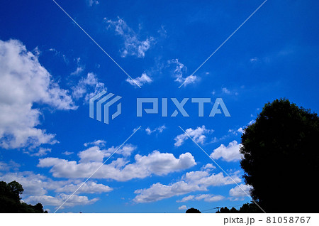 梅雨明けの空 81058767