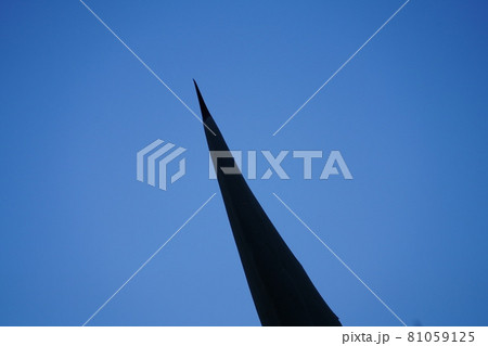 龍舌蘭の葉の先端 81059125