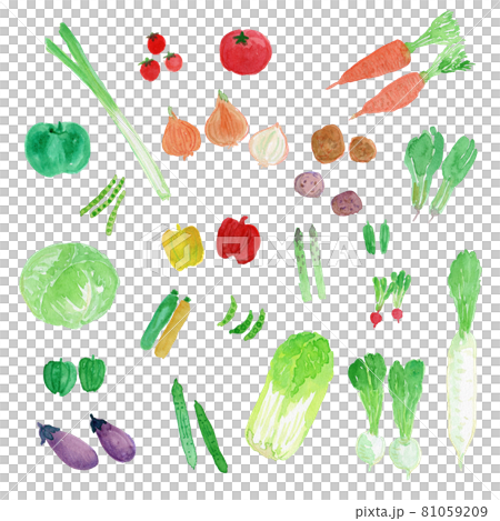 各種蔬菜的可愛水彩插圖集 81059209