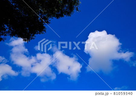 梅雨明けの空 81059340