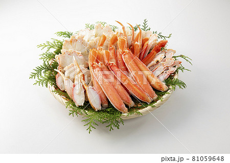 ボイルしたズワイガニ 81059648