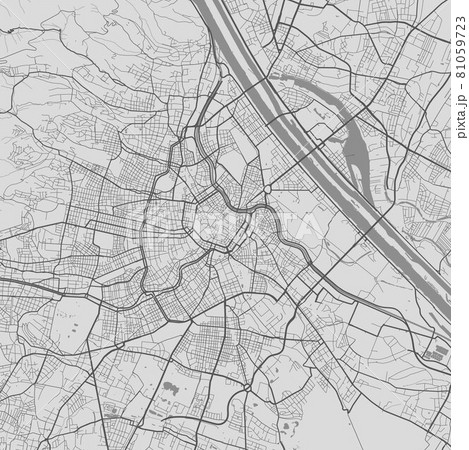 Urban city map of Vienna. Vector poster. Black grayscale street map. 81059723