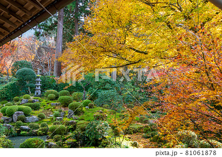三千院有清園庭園　聚碧園庭園 81061878