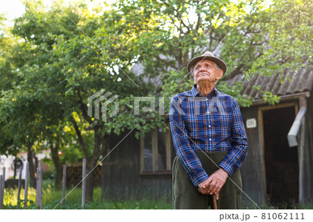 Portrait of elderly man standing outdoors in garden, looking up. Portrait of elderly man standing outdoors in garden, looking up. 81062111
