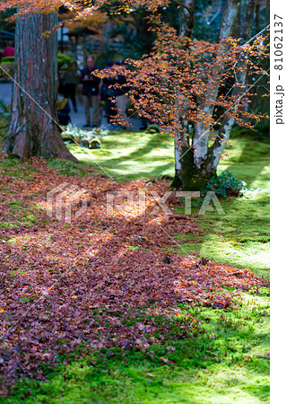 三千院有清園庭園　聚碧園庭園 81062137