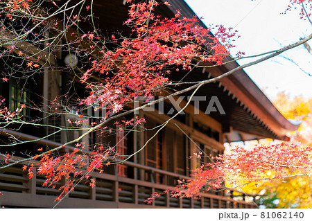 三千院有清園庭園　聚碧園庭園 81062140