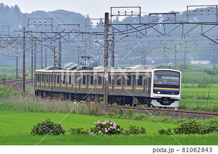 総武本線　佐倉－物井　JR東日本　209系2100番台　C439編成（幕張） 81062843