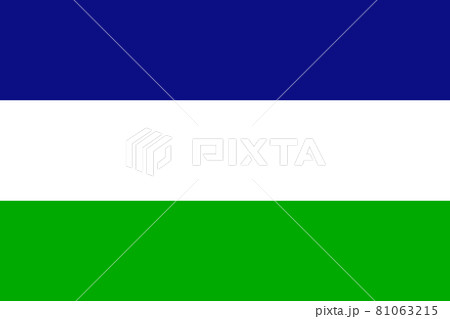 The Kingdom of Araucania and Patagonia flag in real proportions and colors, vector 81063215