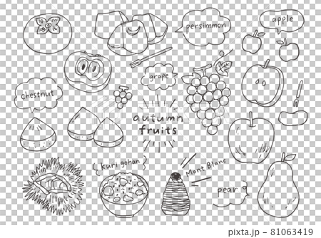 秋の果物の手描きイラストセット（モノクロ） 81063419