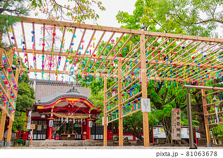 市原稲荷神社、風鈴の音色が響く夏詣〈愛知県刈谷市〉 81063678