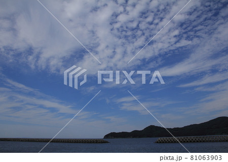 愛媛県伊方町　佐田岬半島の三机湾 81063903