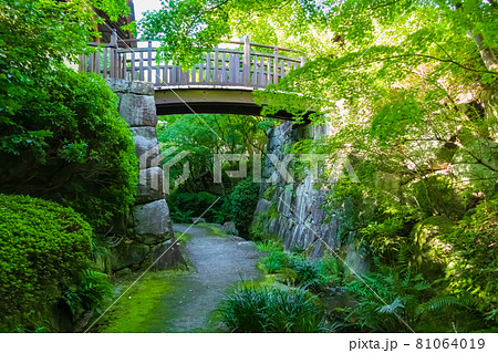丈山苑、緑美しい和風庭園〈愛知県安城市〉 丈山苑、緑美しい和風庭園〈愛知県安城市〉 81064019