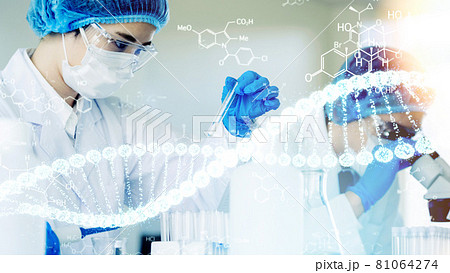 遺伝子工学イメージ　遺伝子検査　再生医療　DNA 81064274