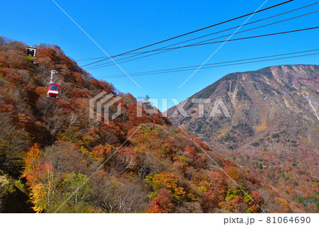 秋　明智平ロープウェイ 81064690