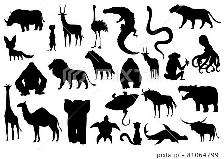 Collection of cute vector animals. Hand drawn silhouette animals which are common in Africa. Icon set isolated on a white background Collection of cute vector animals. Hand drawn silhouette animals which are common in Africa. Icon set isolated on a white background 81064799