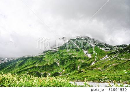 夏の立山、雲に覆われた雄山を望む 81064930