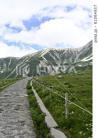 夏の立山　室堂平遊歩道 81064937