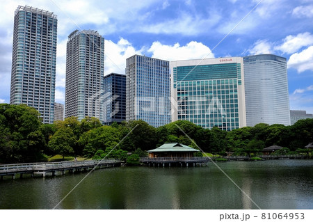 浜離宮庭園と汐留の高層ビル群 81064953