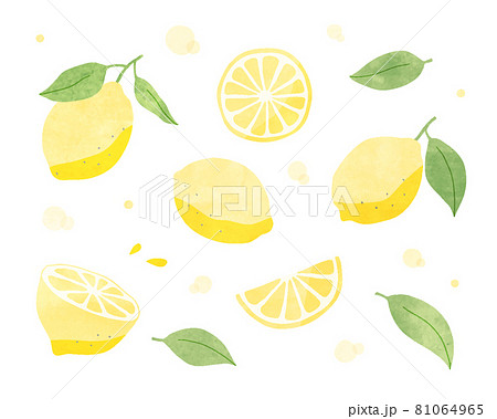 レモンの水彩風イラストのセット フルーツ 果物 柑橘系 シトラス 夏 かわいい 果実 断面 手描きのイラスト素材