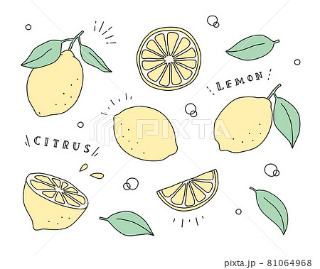レモンの手描きイラストのセット フルーツ 果物 柑橘系 シトラス 夏 かわいい 果実 断面のイラスト素材