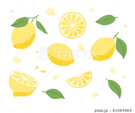 レモンの手描きイラストのセット フルーツ 果物 柑橘系 シトラス 夏 かわいい 果実 断面のイラスト素材