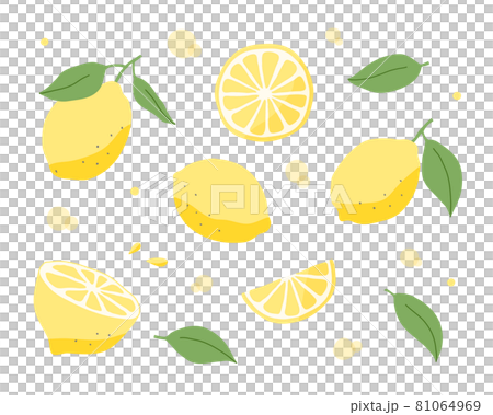 檸檬手繪插圖集水果水果柑橘柑橘夏季可愛水果橫截面 檸檬手繪插圖集水果水果柑橘柑橘夏季可愛水果橫截面 81064969