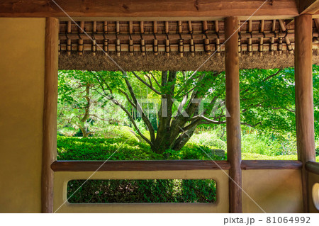 丈山苑、緑美しい和風庭園〈愛知県安城市〉 丈山苑、緑美しい和風庭園〈愛知県安城市〉 81064992