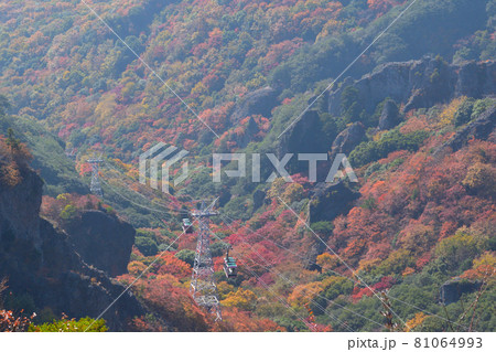 秋　寒霞渓 81064993