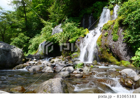 吐竜の滝 81065383