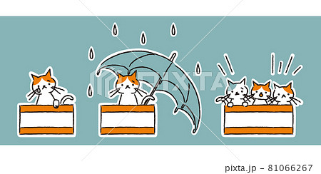 ダンボールの捨て猫 雨の中 子猫 シンプル のイラスト素材