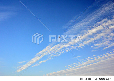 青空に白い雲、そこを飛んでいく飛行機 81066387