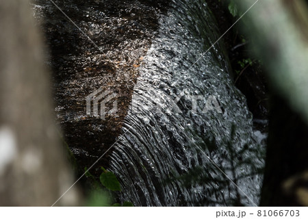 Image photo Image photo 81066703