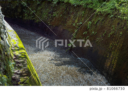 Image photo Image photo 81066730