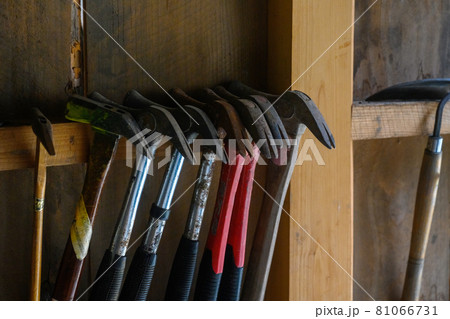 Image photo 81066731