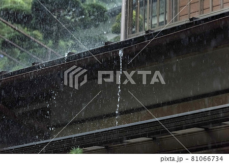 Image photo 81066734